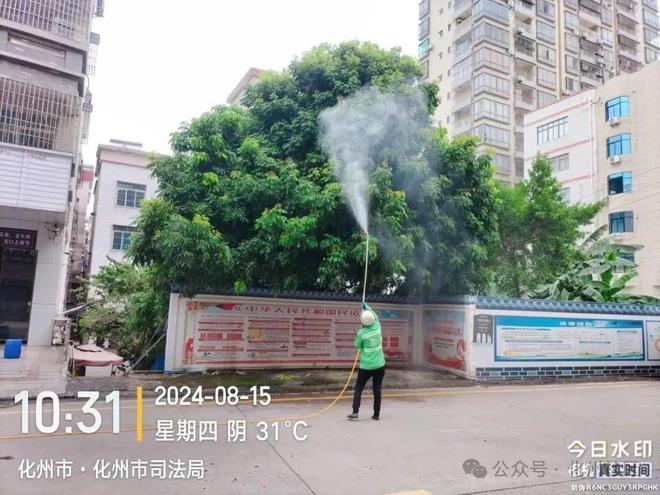 化州城管：维护市容环境扮靓城市“颜值”半岛平台(图6)